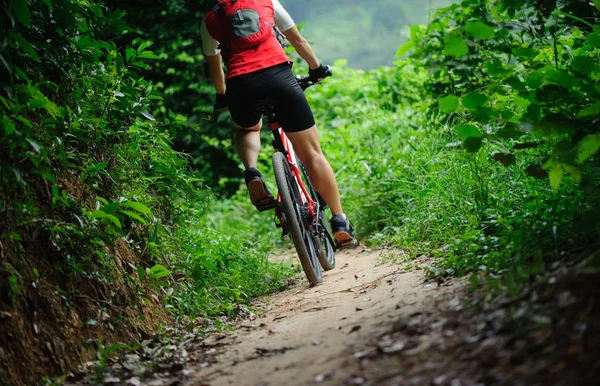 Kobieta Jazda Rowerem Górskim Leśną — Zdjęcie stockowe