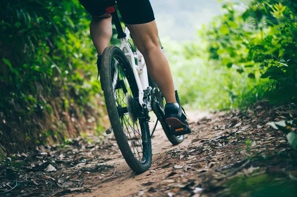 Ciclista Piernas Montar Bicicleta Montaña Sendero Del Bosque — Foto de Stock