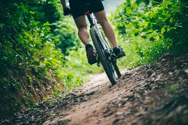 Ciclista Piernas Montar Bicicleta Montaña Sendero Del Bosque — Foto de Stock