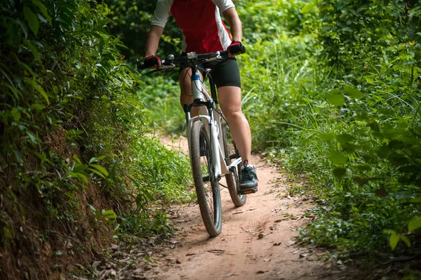 Woman Riding Mountain Bike Forest Trail — Stock Photo, Image