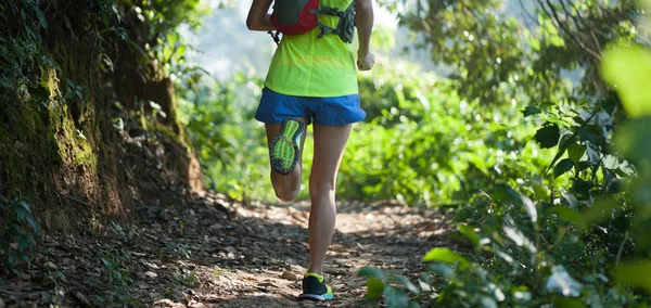 Unga Fitness Kvinna Trail Löpare Kör Soliga Skog — Stockfoto