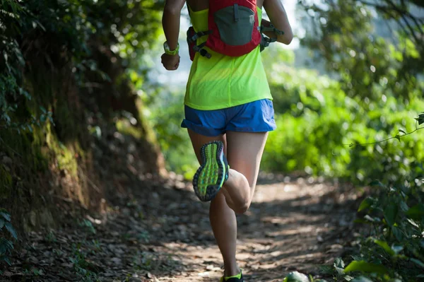 Jonge Fitness Vrouw Trail Runner Die Zonnig Bos Loopt — Stockfoto