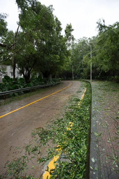 Árboles Rotos Carretera Daños Después Del Súper Tifón Mangkhut China — Foto de Stock