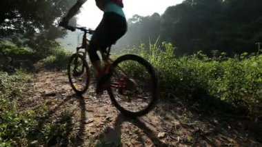 Kadın bisikletçi binme dağ bisikleti yaz orman izinde