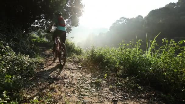 Ciclista Fêmea Montando Bicicleta Montanha Trilha Floresta Verão — Vídeo de Stock