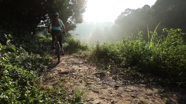 Wielrenster Paardrijden Mountainbike Zomer Bospad — Stockvideo