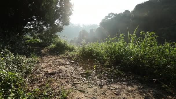 Andar de bicicleta de montanha — Vídeo de Stock