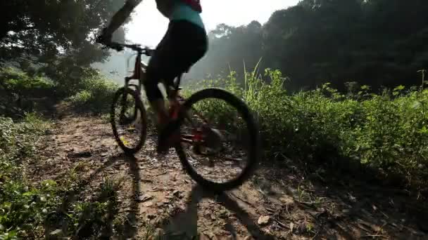 Femme Cycliste Équitation Vtt Sur Sentier Forestier Été — Video