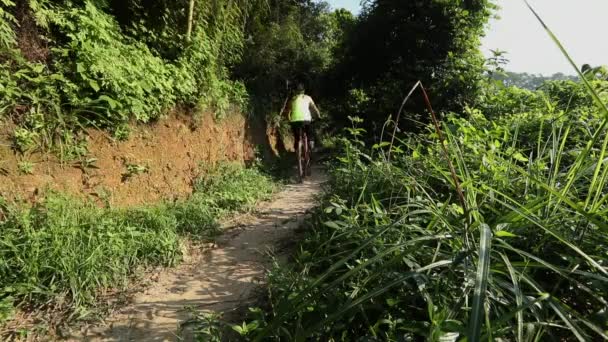 Femme cycliste équitation VTT sur le sentier forestier d'été 