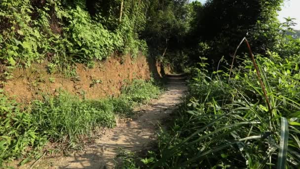 Montar bicicleta de montaña — Vídeos de Stock