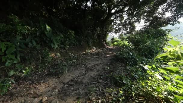 Mujer Joven Corriendo Por Sendero Del Bosque Tropical — Vídeos de Stock