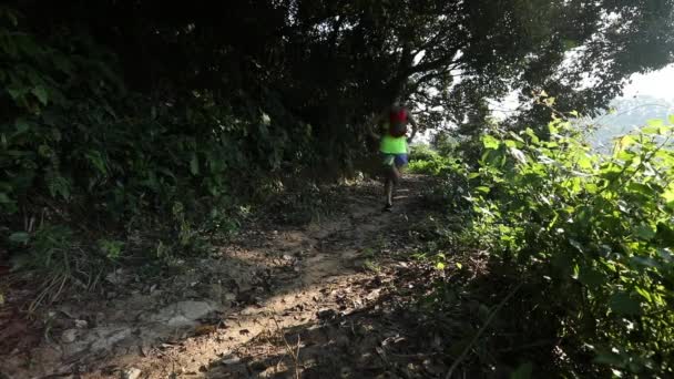 Jovem Mulher Fitness Correndo Trilha Florestal — Vídeo de Stock