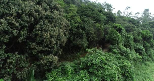 Montar bicicleta de montaña — Vídeos de Stock