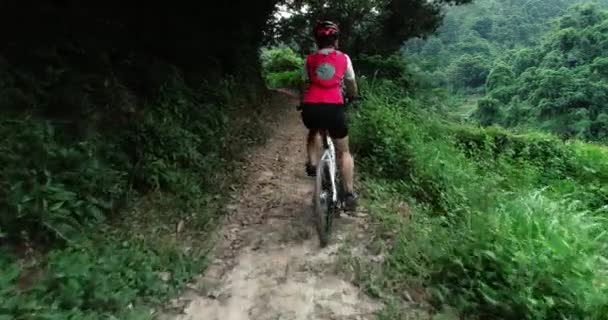 Junge Frau Auf Mountainbike Wald Unterwegs — Stockvideo