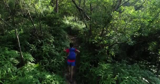 Mujer caminando por sendero de montaña — Vídeos de Stock