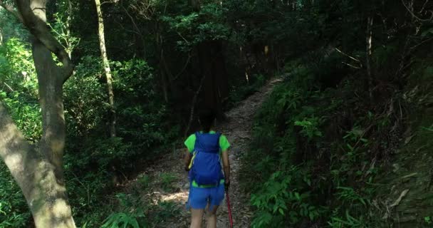 Mujer Joven Con Mochila Caminando Por Sendero Del Bosque Tropical — Vídeos de Stock