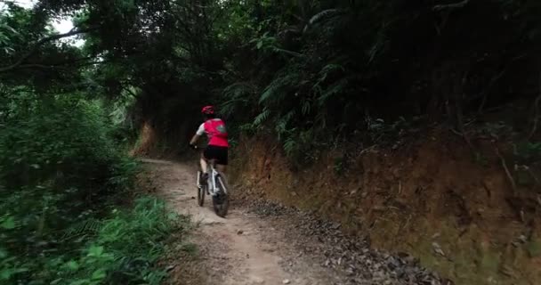 Kvinnlig Cyklist Ridning Mountainbike Sommaren Skogsstig — Stockvideo