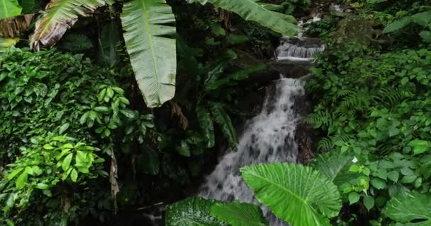 Bela Vista Cachoeira Nas Montanhas Floresta Tropical — Vídeo de Stock