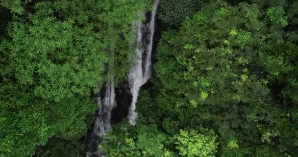 Vista Aérea Grande Cachoeira Bonita Selva Tropical — Vídeo de Stock