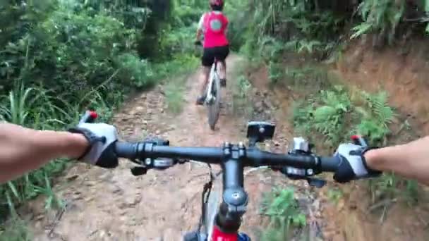 Kvinnliga Cyklister Ridning Mountainbike Sommaren Skogsstig — Stockvideo