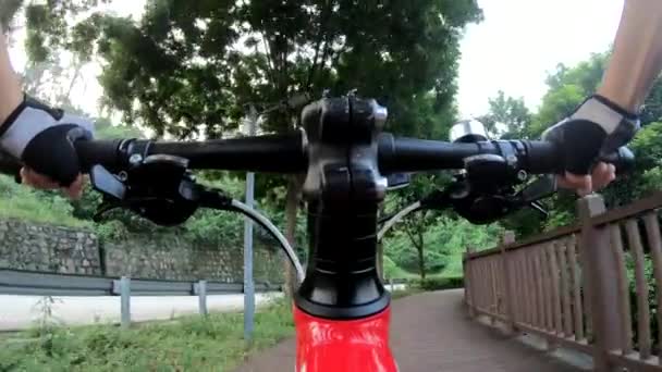 Joven Ciclista Montando Bicicleta Montaña Carretera — Vídeos de Stock