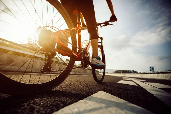 Young Woman Cyclist Riding Mountain Bike Highway — Stock Photo, Image