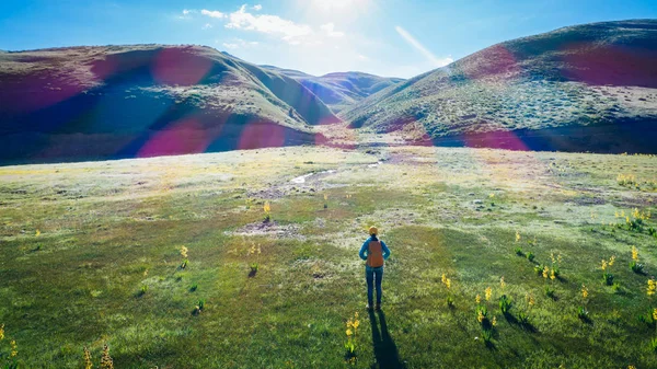 Avventuriera Donna Che Cammina Sulla Valle Montagna Alta Quota — Foto Stock