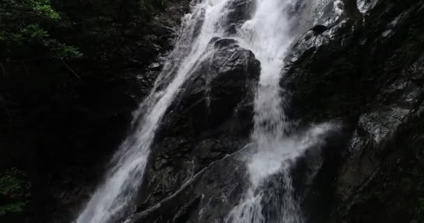 Agua Que Fluye Sobre Rocas Cascada Bosque China — Vídeo de stock