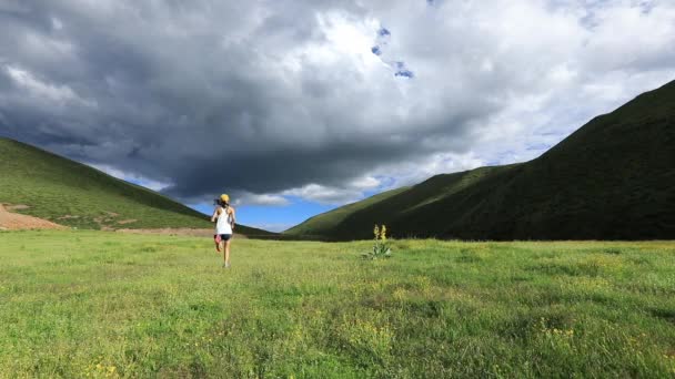 Female Runner Training Green Meadow Mountains — Stock Video