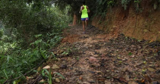 Junge Sportlerin Läuft Auf Tropenwaldpfad — Stockvideo