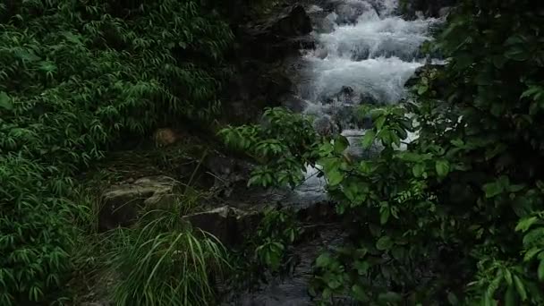 Água Fluxo Cascata Cachoeira Floresta China — Vídeo de Stock