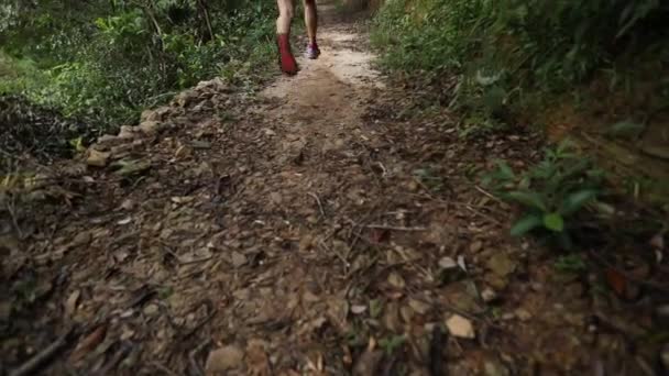 Jeune athlète féminine qui court sur le sentier de la forêt tropicale 