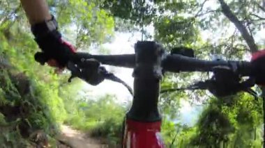 Tropikal orman yolunda bisiklet süren bir kadın.