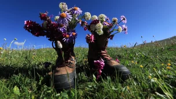 美丽高山草甸绿草上有野花的远足靴的特写镜头 — 图库视频影像