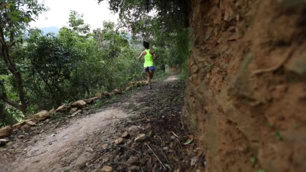 Giovane Atleta Donna Che Corre Sul Sentiero Della Foresta Tropicale — Video Stock