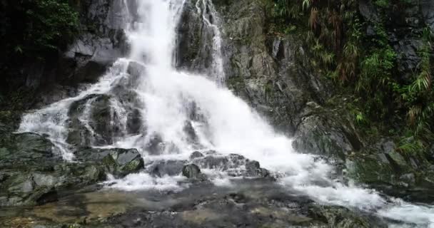 Flowing Water Waterfall China Forest — Stock Video