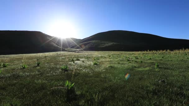 Prairies Vertes Dans Rétro Éclairage Lumineux Dans Beau Paysage Montagnes — Video