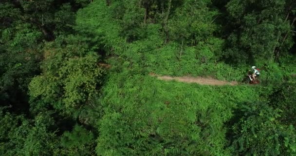 Mujer Ciclismo Camino Tierra Bosque Vista Aérea — Vídeos de Stock