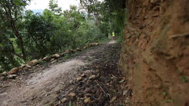 Jovem Atleta Feminina Correndo Trilha Floresta Tropical Câmera Lenta — Vídeo de Stock