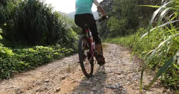 Νεαρή Γυναίκα Ιππασία Ποδήλατο Βουνού Στο Δάσος Δίκη — Αρχείο Βίντεο