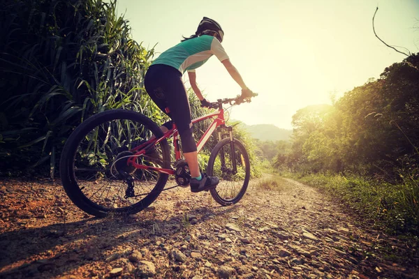 Woman Cyclist Riding Mountain Bike Rocky Trail Sunny Day — Stock Photo, Image