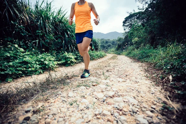 sportswoman trail runner running on forest
