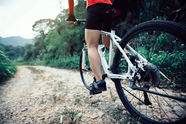 Mulher Ciclista Montando Bicicleta Montanha Trilha Rochosa Dia Ensolarado — Fotografia de Stock