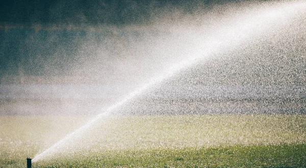 Automatische Sprinklers Drenken Gras Stadion — Stockfoto