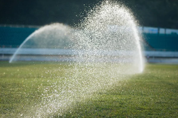 Arroseurs Automatiques Arrosant Herbe Sur Stade — Photo