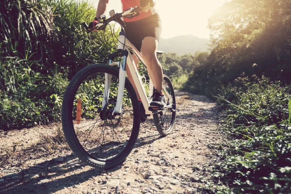 山の中の自然歩道で 自転車に乗って女性サイクリスト 健康的なライフ スタイルのコンセプト — ストック写真