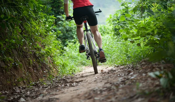 Rowerzysta Nogi Jazda Rower Górski Leśną — Zdjęcie stockowe