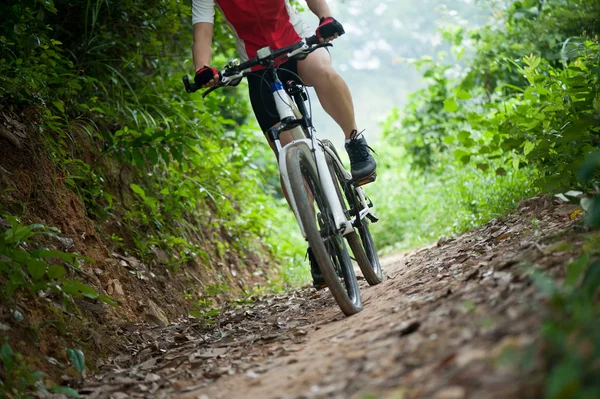 Dağ Bisikleti Orman Sürme Bisikletçi Bacaklar — Stok fotoğraf