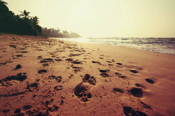 Footprints on tropical island beach with palm trees in the sunrise