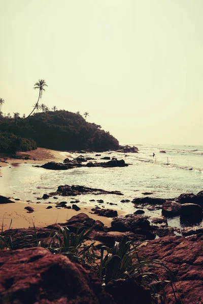 Hermoso Paisaje Playa Isla Tropical Con Palmeras Amanecer —  Fotos de Stock